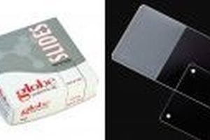 GENERAL PURPOSE MICROSCOPE SLIDES (Cat.# BB1291)